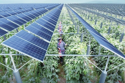 AgriSolar Project